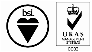 BSI LOGO